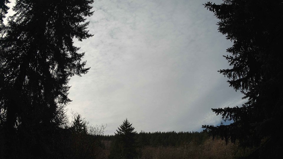 Pacific Northwest skyline timelapse on Feb 12, 2026 at 11:00 AM