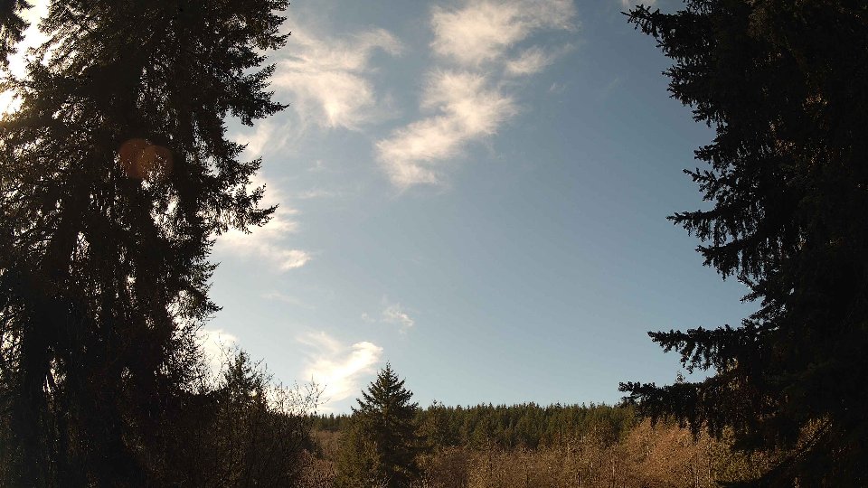 Pacific Northwest skyline timelapse on Feb 12, 2026 at 11:45 AM