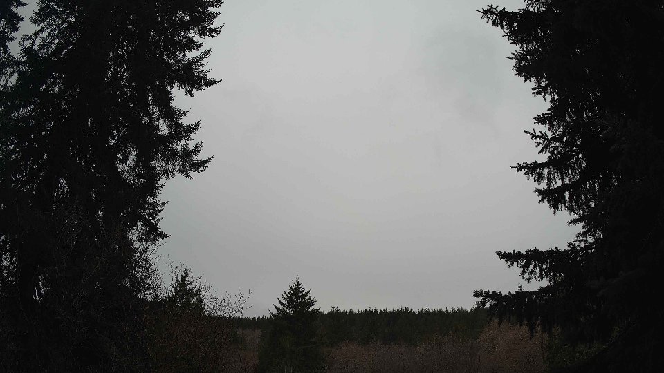 Pacific Northwest skyline timelapse on Feb 13, 2026 at 11:30 AM