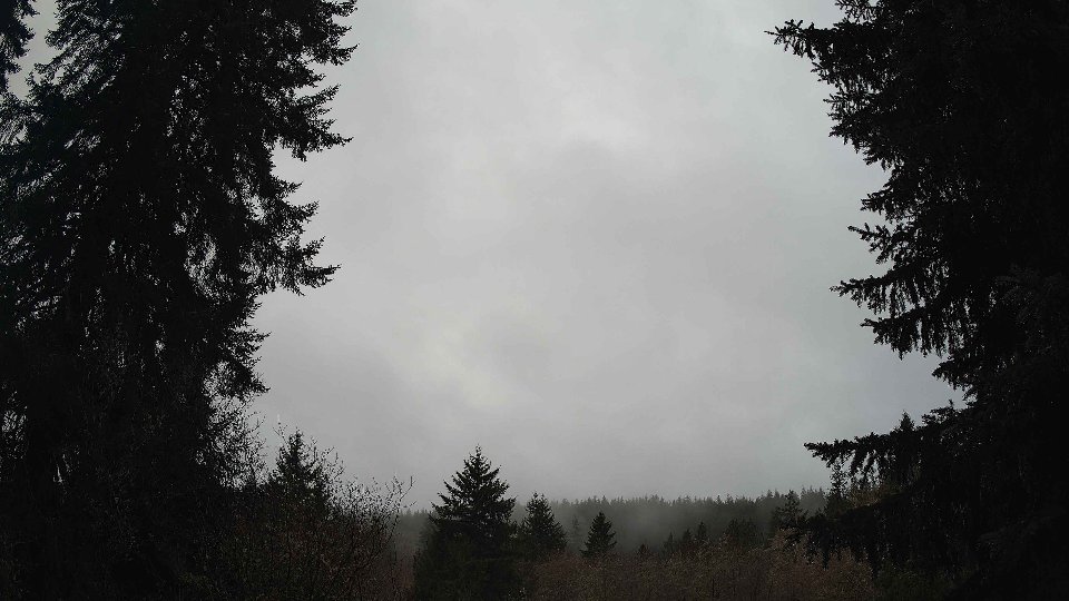 Pacific Northwest skyline timelapse on Feb 14, 2026 at 10:15 AM