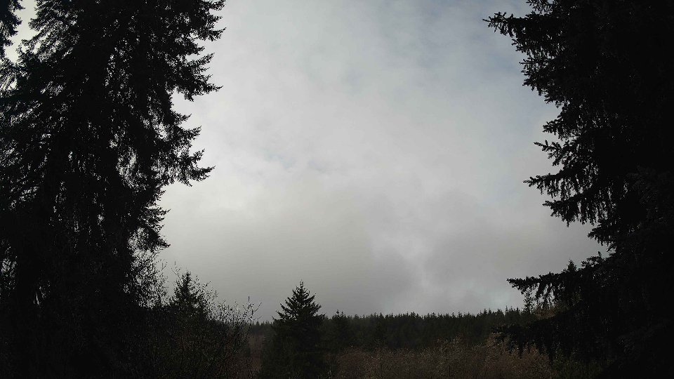 Pacific Northwest skyline timelapse on Feb 14, 2026 at 10:45 AM