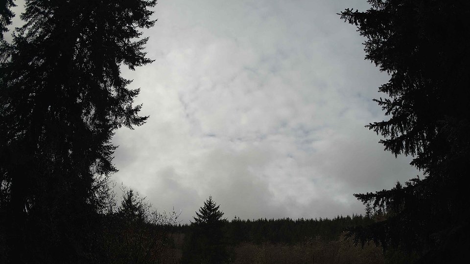 Pacific Northwest skyline timelapse on Feb 14, 2026 at 11:00 AM