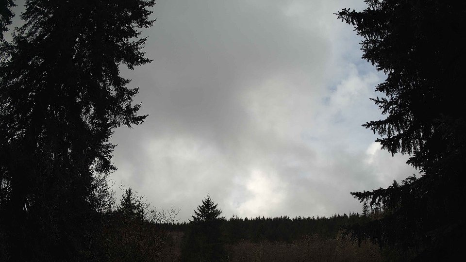 Pacific Northwest skyline timelapse on Feb 14, 2026 at 11:15 AM