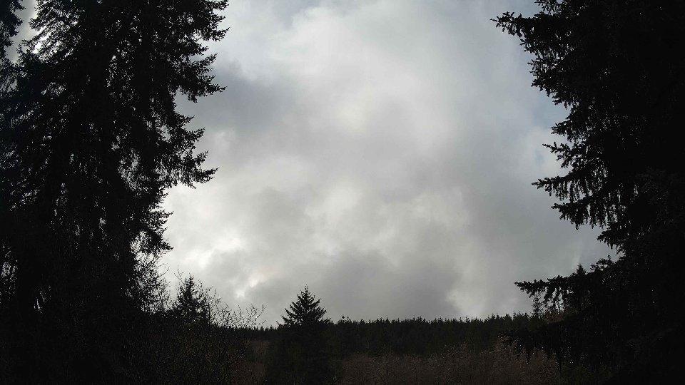 Pacific Northwest skyline timelapse on Feb 14, 2026 at 11:30 AM