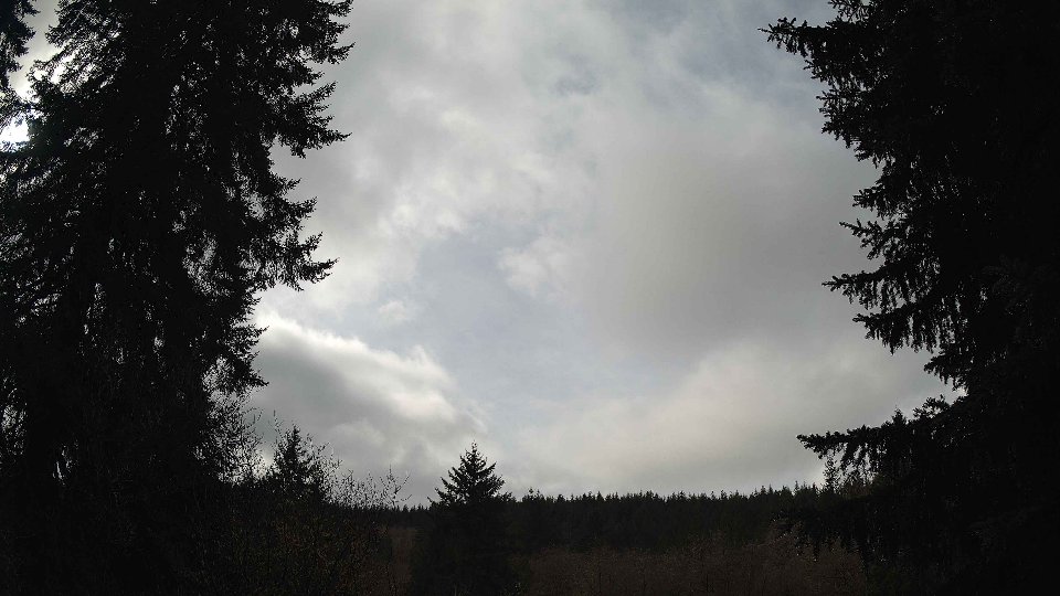 Pacific Northwest skyline timelapse on Feb 14, 2026 at 12:00 PM