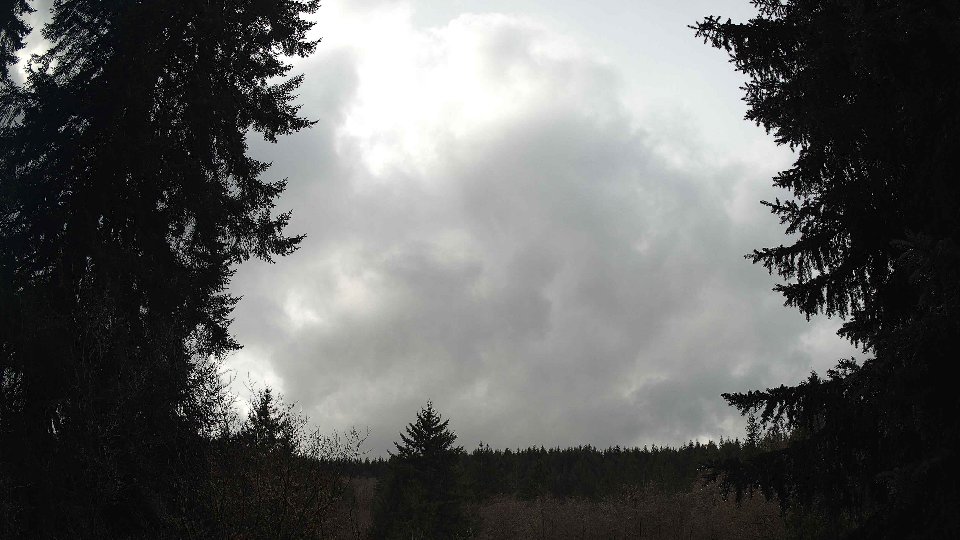 Pacific Northwest skyline timelapse on Feb 14, 2026 at 12:15 PM