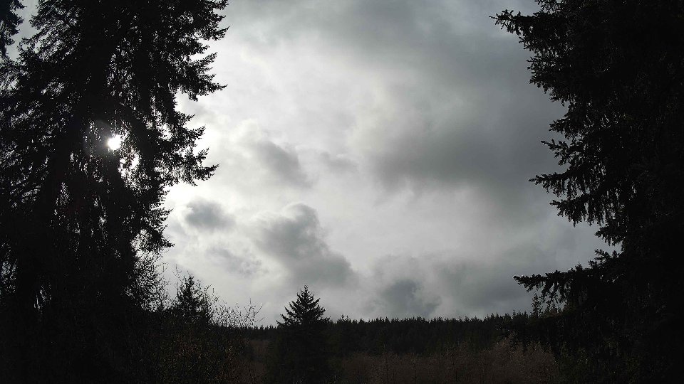 Pacific Northwest skyline timelapse on Feb 14, 2026 at 1:15 PM