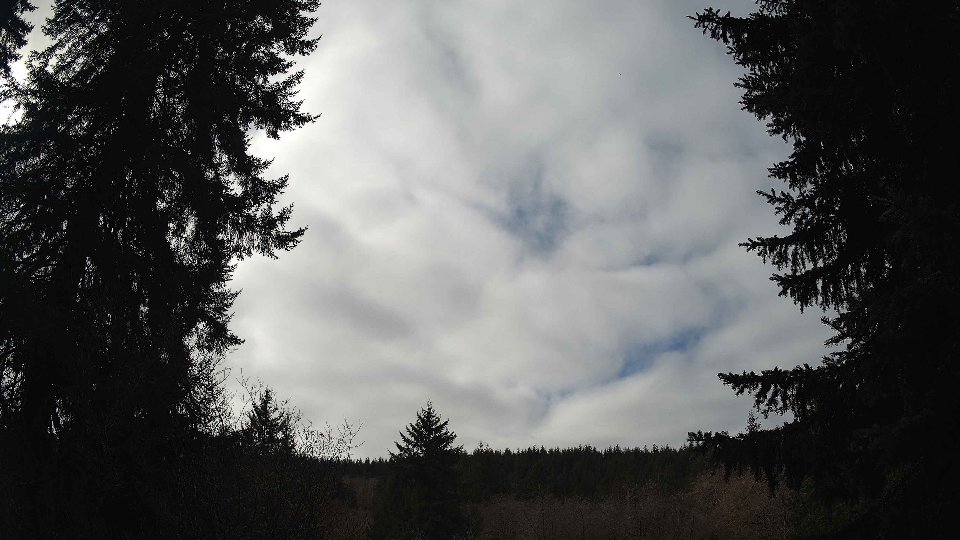 Pacific Northwest skyline timelapse on Feb 15, 2026 at 11:45 AM