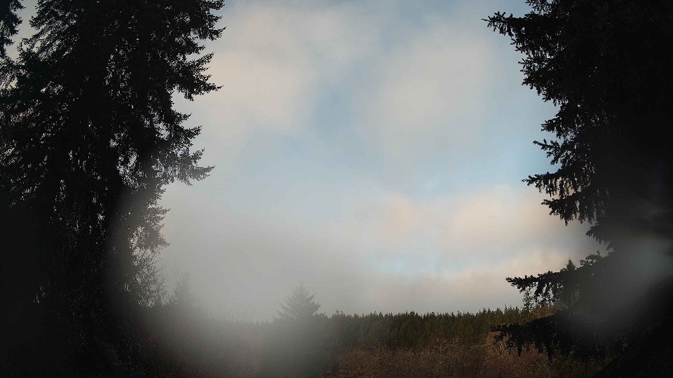 Pacific Northwest skyline timelapse on Feb 17, 2026 at 8:00 AM