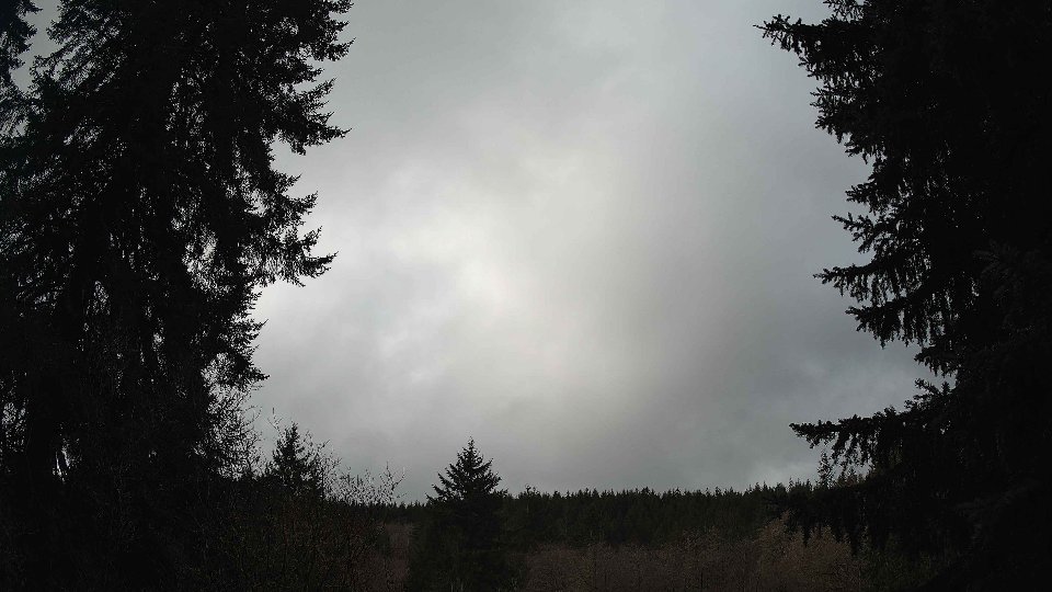 Pacific Northwest skyline timelapse on Feb 17, 2026 at 11:00 AM