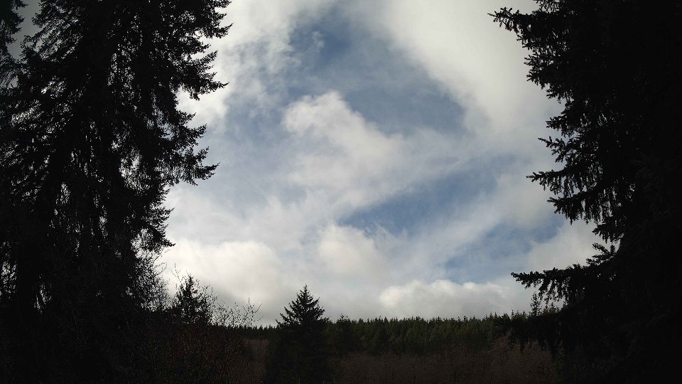 Pacific Northwest skyline timelapse on Feb 17, 2026 at 11:30 AM