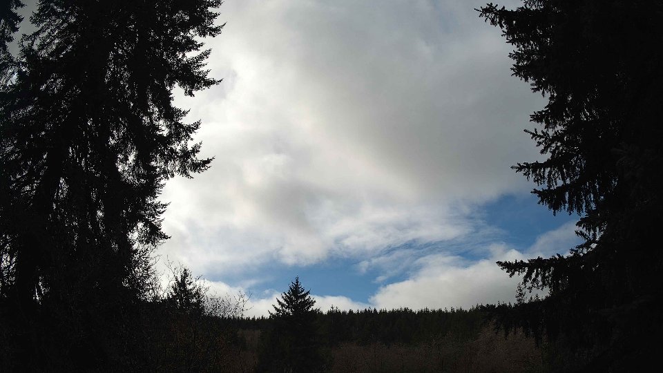 Pacific Northwest skyline timelapse on Feb 17, 2026 at 12:00 PM