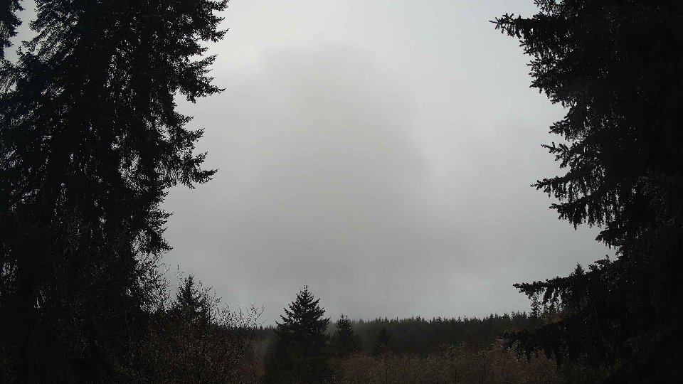 Pacific Northwest skyline timelapse on Feb 19, 2026 at 9:15 AM