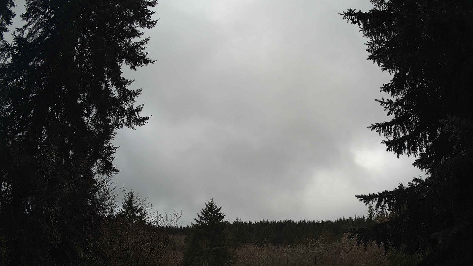 Pacific Northwest skyline timelapse on Feb 19, 2026 at 11:30 AM
