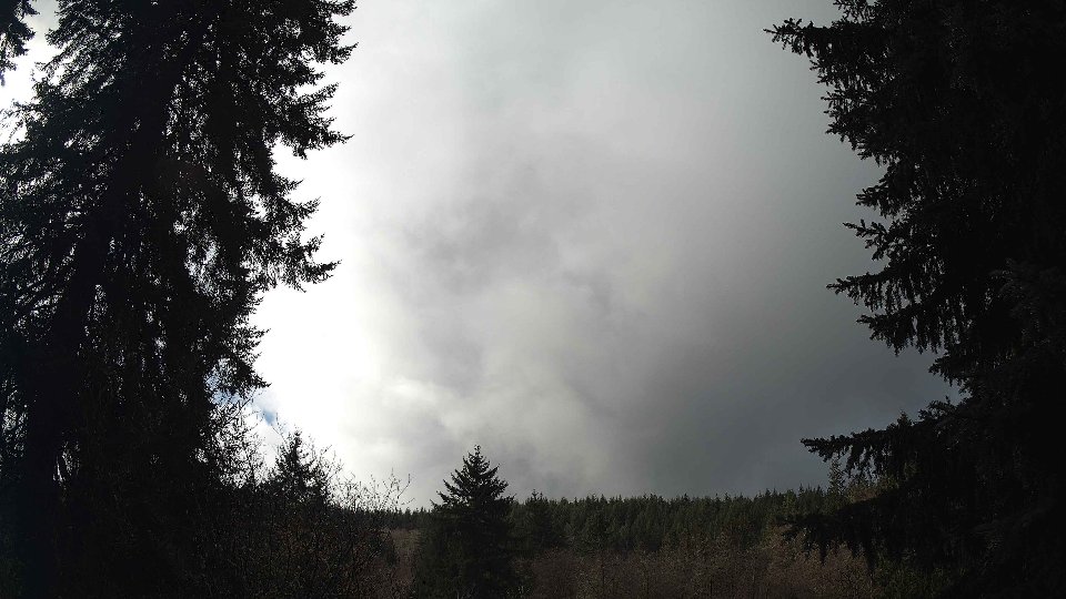 Pacific Northwest skyline timelapse on Feb 19, 2026 at 11:45 AM