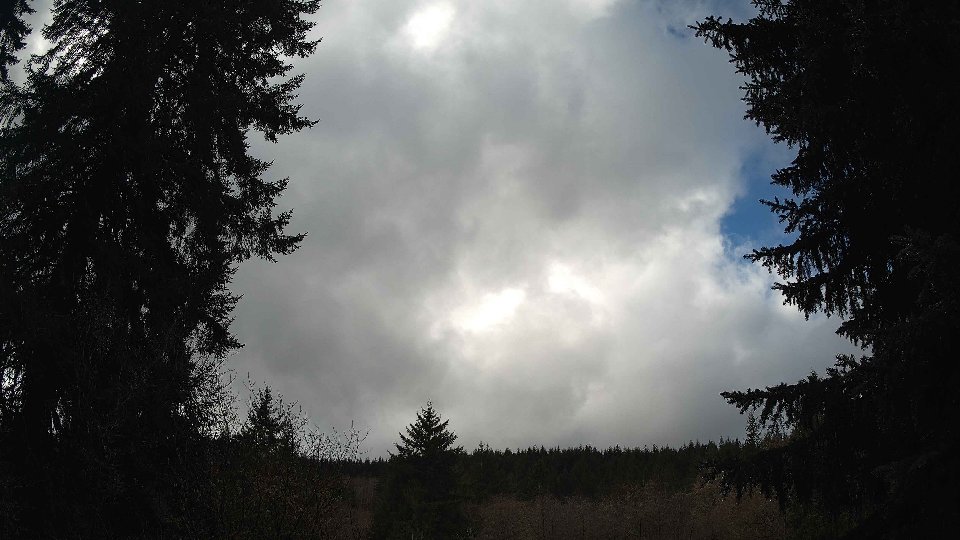 Pacific Northwest skyline timelapse on Feb 19, 2026 at 12:30 PM