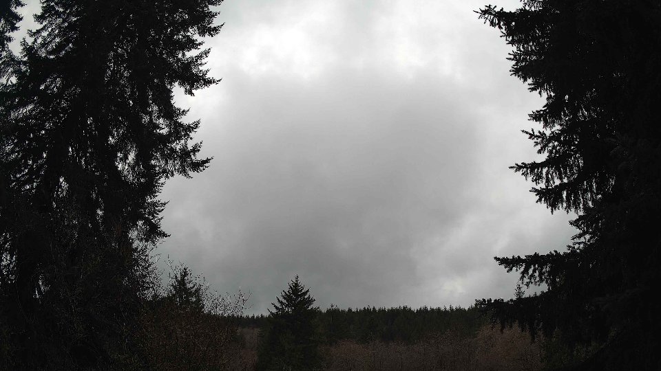 Pacific Northwest skyline timelapse on Feb 20, 2026 at 1:30 PM