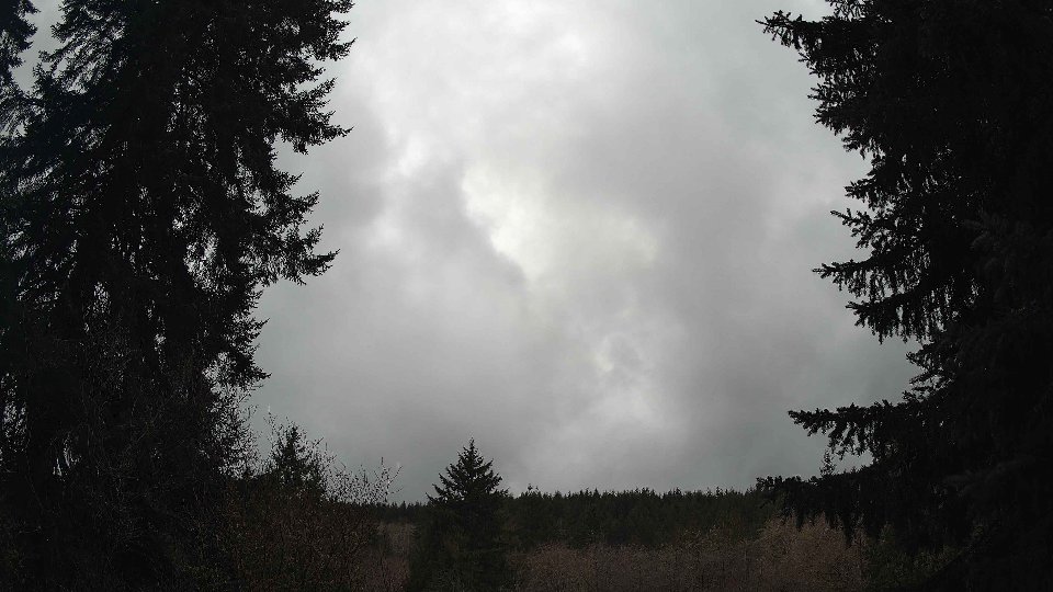 Pacific Northwest skyline timelapse on Feb 20, 2026 at 1:45 PM