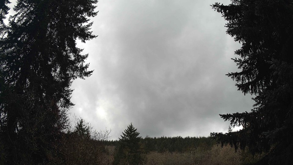Pacific Northwest skyline timelapse on Feb 20, 2026 at 2:15 PM