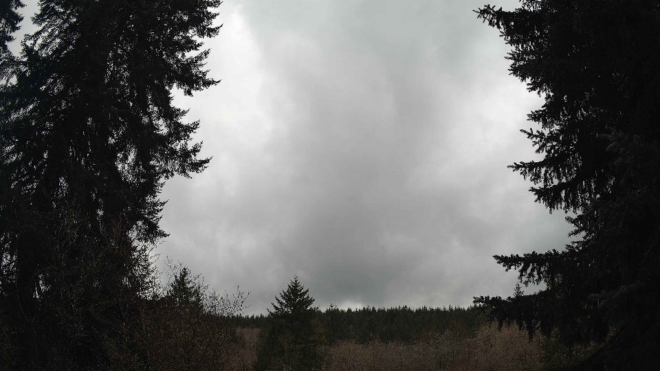 Pacific Northwest skyline timelapse on Feb 20, 2026 at 3:00 PM