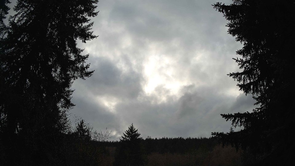 Pacific Northwest skyline timelapse on Feb 20, 2026 at 3:30 PM