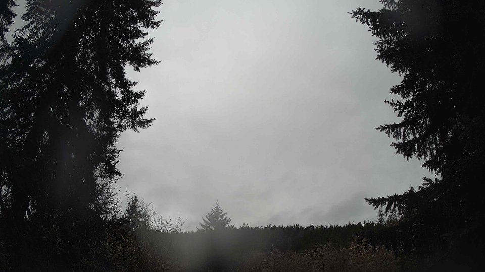 Pacific Northwest skyline timelapse on Feb 21, 2026 at 11:00 AM