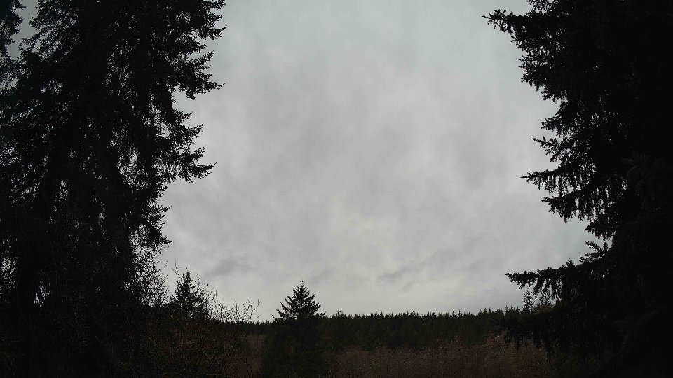 Pacific Northwest skyline timelapse on Feb 21, 2026 at 11:30 AM
