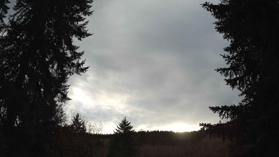 Pacific Northwest skyline timelapse on Feb 21, 2026 at 4:30 PM