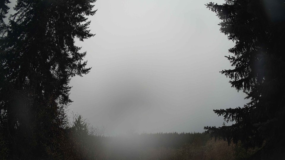 Pacific Northwest skyline timelapse on Feb 22, 2026 at 7:45 AM