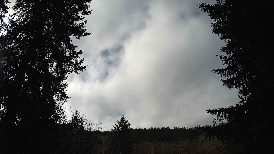 Pacific Northwest skyline timelapse on Feb 22, 2026 at 12:00 PM