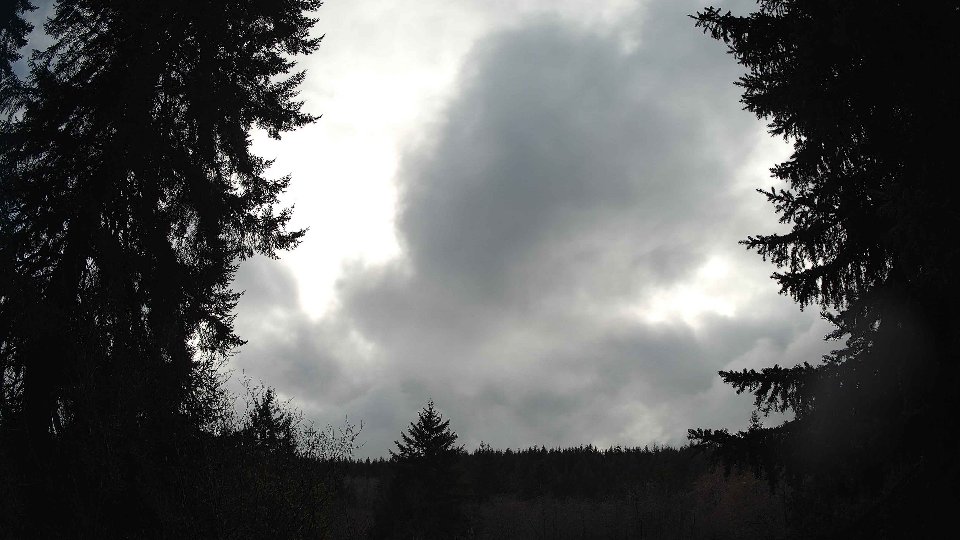 Pacific Northwest skyline timelapse on Feb 22, 2026 at 2:45 PM