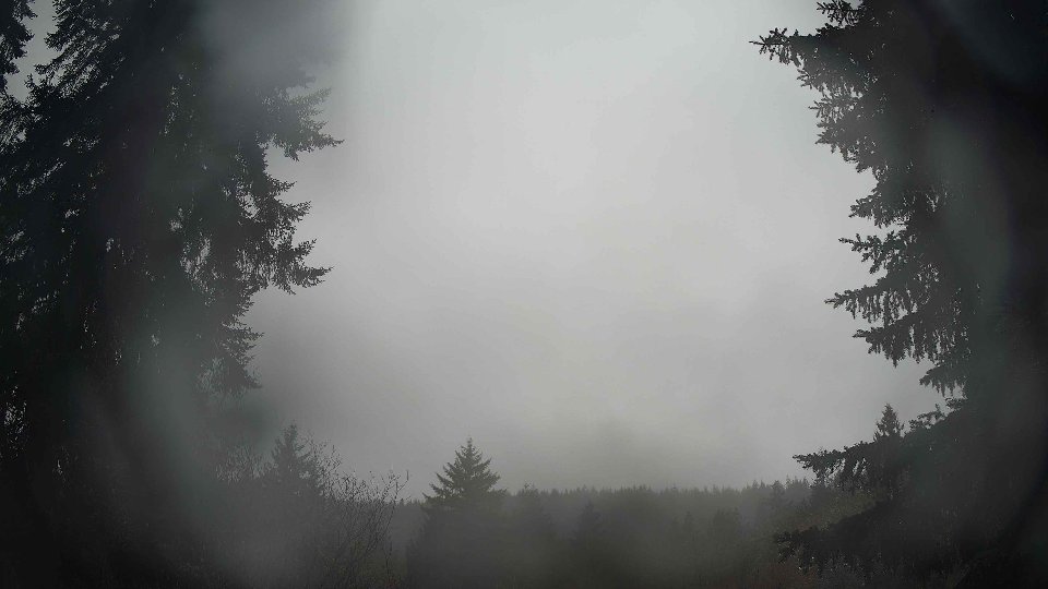 Pacific Northwest skyline timelapse on Feb 24, 2026 at 9:00 AM