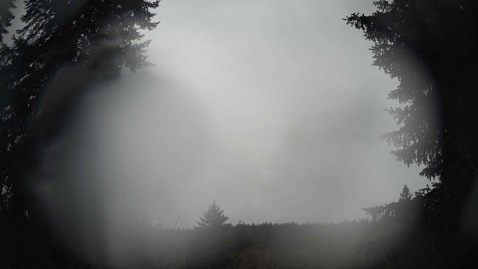 Pacific Northwest skyline timelapse on Feb 24, 2026 at 11:30 AM