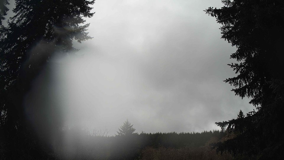 Pacific Northwest skyline timelapse on Feb 24, 2026 at 1:30 PM