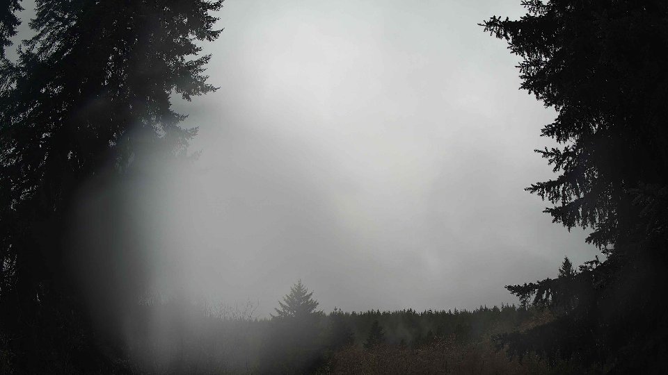 Pacific Northwest skyline timelapse on Feb 24, 2026 at 2:30 PM