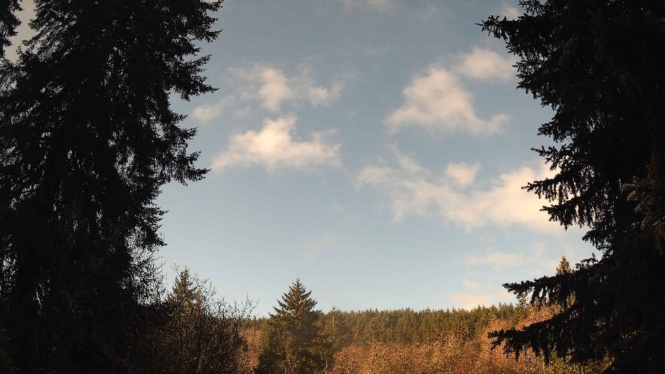 Pacific Northwest skyline timelapse on Feb 25, 2026 at 9:15 AM