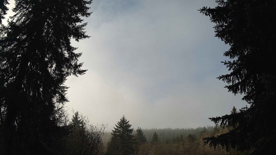 Pacific Northwest skyline timelapse on Feb 25, 2026 at 10:00 AM