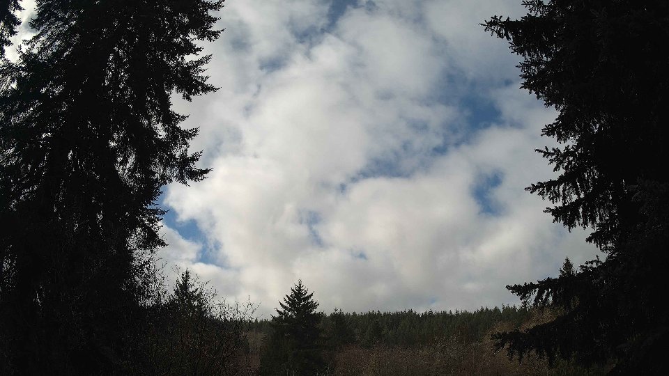 Pacific Northwest skyline timelapse on Feb 25, 2026 at 10:30 AM
