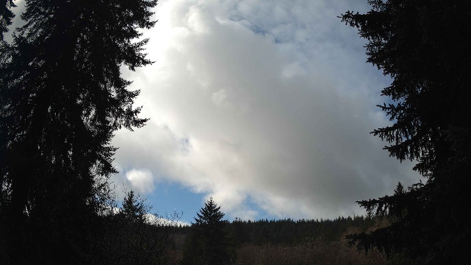 Pacific Northwest skyline timelapse on Feb 25, 2026 at 11:00 AM