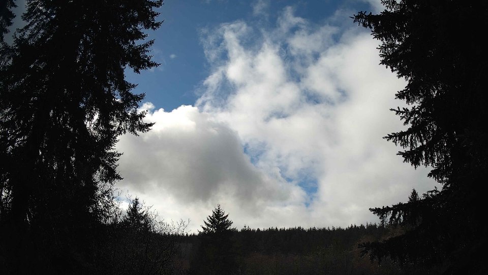 Pacific Northwest skyline timelapse on Feb 25, 2026 at 11:15 AM
