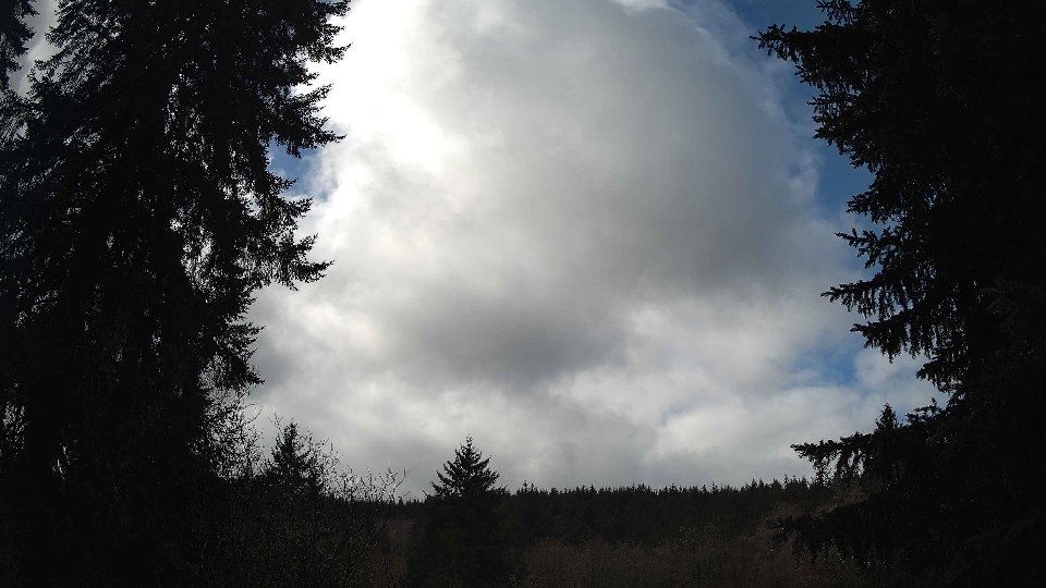 Pacific Northwest skyline timelapse on Feb 25, 2026 at 11:30 AM