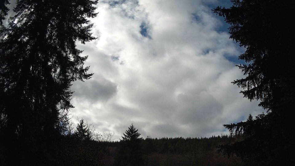 Pacific Northwest skyline timelapse on Feb 25, 2026 at 12:00 PM