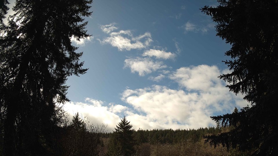 Pacific Northwest skyline timelapse on Feb 25, 2026 at 12:15 PM