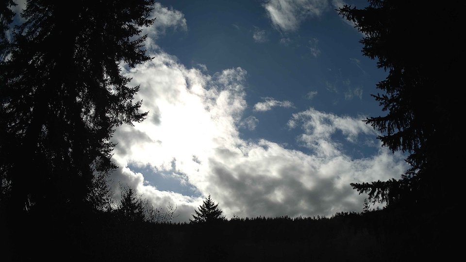 Pacific Northwest skyline timelapse on Feb 25, 2026 at 2:30 PM