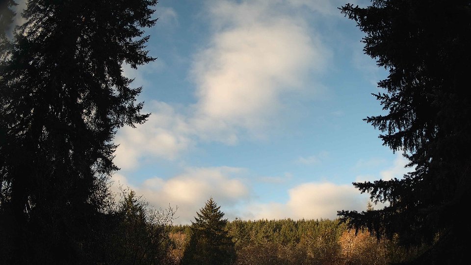 Pacific Northwest skyline timelapse on Feb 26, 2026 at 8:00 AM