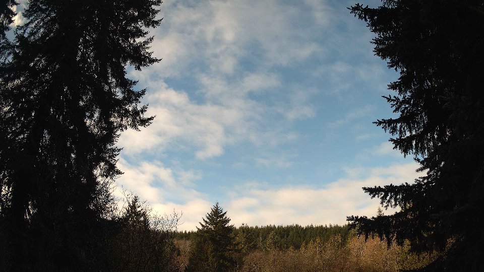 Pacific Northwest skyline timelapse on Feb 26, 2026 at 9:15 AM