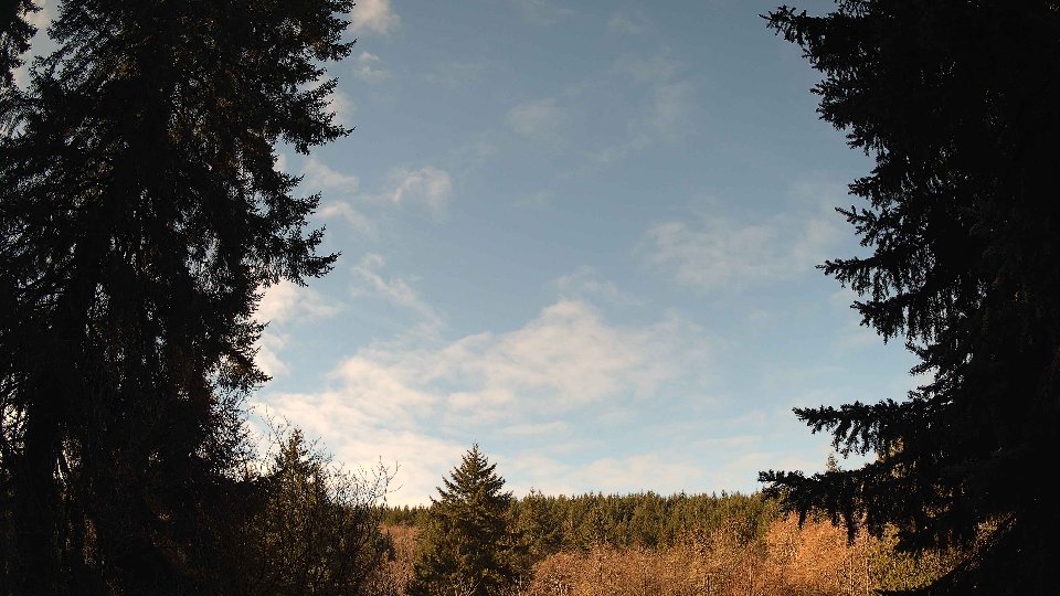 Pacific Northwest skyline timelapse on Feb 26, 2026 at 9:45 AM