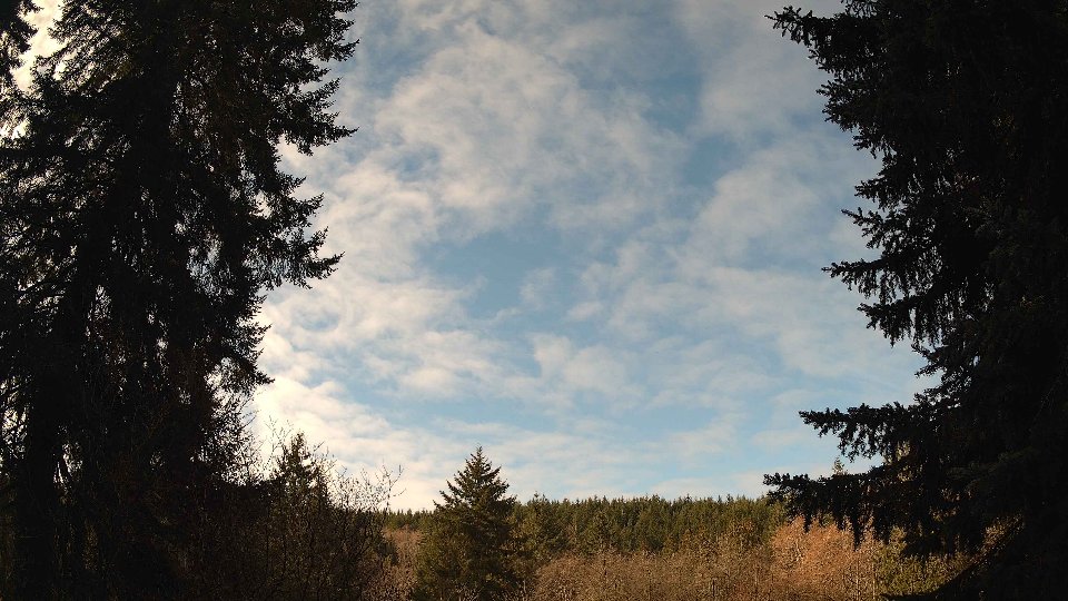 Pacific Northwest skyline timelapse on Feb 26, 2026 at 10:00 AM