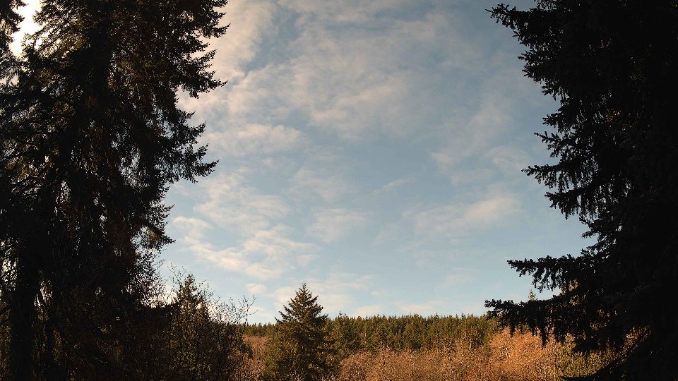 Pacific Northwest skyline timelapse on Feb 26, 2026 at 10:15 AM