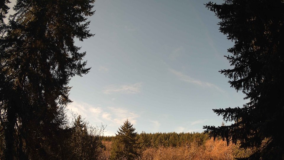 Pacific Northwest skyline timelapse on Feb 26, 2026 at 10:30 AM
